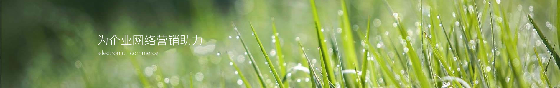 ĳлұֹ޹˾